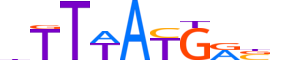 HXB9.H12CORE.0.S.C motif logo (HOXB9 gene, HXB9_HUMAN protein)