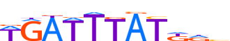 HXC10.H12CORE.0.P.B motif logo (HOXC10 gene, HXC10_HUMAN protein)