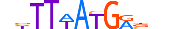 HXC10.H12CORE.1.S.B motif logo (HOXC10 gene, HXC10_HUMAN protein)