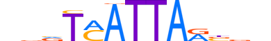 HXC4.H12CORE.0.SM.B reverse-complement motif logo (HOXC4 gene, HXC4_HUMAN protein)