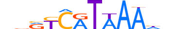 HXC9.H12CORE.1.S.C reverse-complement motif logo (HOXC9 gene, HXC9_HUMAN protein)