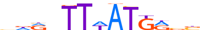 HXD11.H12CORE.0.PS.A motif logo (HOXD11 gene, HXD11_HUMAN protein)