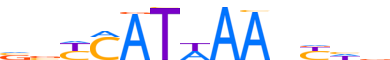 HXD11.H12CORE.0.PS.A reverse-complement motif logo (HOXD11 gene, HXD11_HUMAN protein)