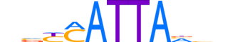 HXD8.H12CORE.0.SM.B reverse-complement motif logo (HOXD8 gene, HXD8_HUMAN protein)