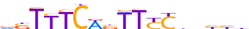 IRF4.H12CORE.0.P.B reverse-complement motif logo (IRF4 gene, IRF4_HUMAN protein)