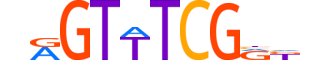 IRF6.H12CORE.0.SM.B reverse-complement motif logo (IRF6 gene, IRF6_HUMAN protein)