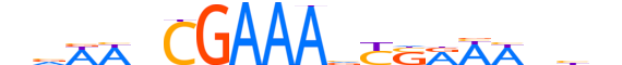 IRF7.H12CORE.1.SM.B motif logo (IRF7 gene, IRF7_HUMAN protein)