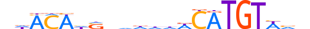 IRX3.H12CORE.2.S.C motif logo (IRX3 gene, IRX3_HUMAN protein)