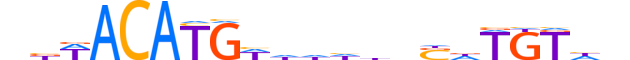 IRX3.H12CORE.2.S.C reverse-complement motif logo (IRX3 gene, IRX3_HUMAN protein)