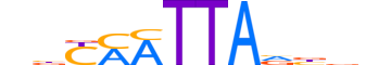 ISL1.H12CORE.0.PSM.A reverse-complement motif logo (ISL1 gene, ISL1_HUMAN protein)