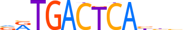 JUN.H12CORE.0.P.B reverse-complement motif logo (JUN gene, JUN_HUMAN protein)