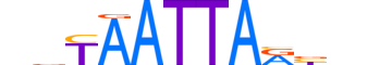 LHX4.H12CORE.0.SM.B motif logo (LHX4 gene, LHX4_HUMAN protein)
