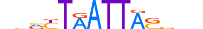 LHX6.H12CORE.1.S.B reverse-complement motif logo (LHX6 gene, LHX6_HUMAN protein)