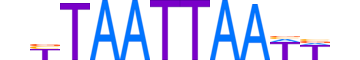 LMX1B.H12CORE.1.SM.B motif logo (LMX1B gene, LMX1B_HUMAN protein)