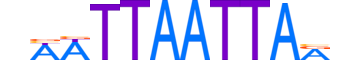 LMX1B.H12CORE.1.SM.B reverse-complement motif logo (LMX1B gene, LMX1B_HUMAN protein)