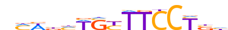 LYL1.H12CORE.1.P.C motif logo (LYL1 gene, LYL1_HUMAN protein)