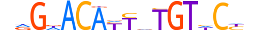 MCR.H12CORE.0.S.B reverse-complement motif logo (NR3C2 gene, MCR_HUMAN protein)