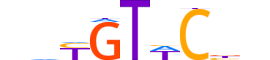 MCR.H12CORE.1.SM.B motif logo (NR3C2 gene, MCR_HUMAN protein)