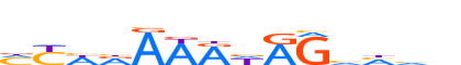 MEF2B.H12CORE.0.PS.A reverse-complement motif logo (MEF2B gene, MEF2B_HUMAN protein)