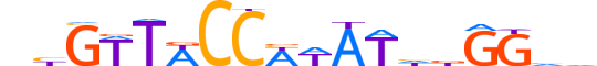 MEF2B.H12CORE.1.SM.B motif logo (MEF2B gene, MEF2B_HUMAN protein)