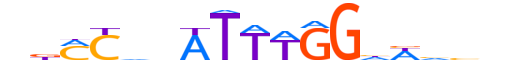 MEF2C.H12CORE.1.SM.B motif logo (MEF2C gene, MEF2C_HUMAN protein)