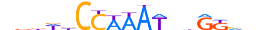 MEF2C.H12CORE.1.SM.B reverse-complement motif logo (MEF2C gene, MEF2C_HUMAN protein)