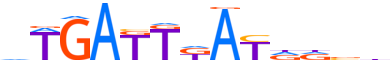 MEIS1.H12CORE.0.P.B motif logo (MEIS1 gene, MEIS1_HUMAN protein)