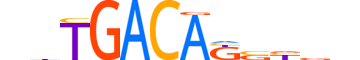 MEIS2.H12CORE.1.PSM.A motif logo (MEIS2 gene, MEIS2_HUMAN protein)