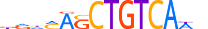 MEIS2.H12CORE.2.SM.B reverse-complement motif logo (MEIS2 gene, MEIS2_HUMAN protein)