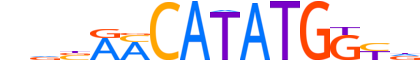 MESP2.H12CORE.0.S.C motif logo (MESP2 gene, MESP2_HUMAN protein)