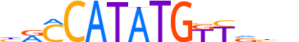 MESP2.H12CORE.0.S.C reverse-complement motif logo (MESP2 gene, MESP2_HUMAN protein)