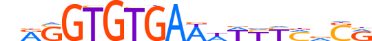 MGAP.H12CORE.1.S.B motif logo (MGA gene, MGAP_HUMAN protein)