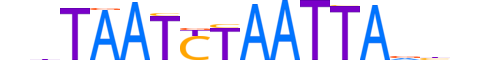 MIXL1.H12CORE.0.SM.B reverse-complement motif logo (MIXL1 gene, MIXL1_HUMAN protein)