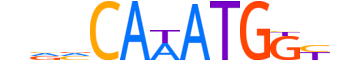 MSGN1.H12CORE.0.PSM.A motif logo (MSGN1 gene, MSGN1_HUMAN protein)