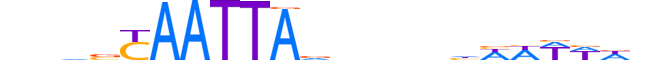 MSX1.H12CORE.1.S.C motif logo (MSX1 gene, MSX1_HUMAN protein)