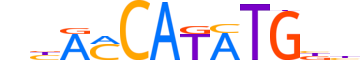 MUSC.H12CORE.0.SM.B reverse-complement motif logo (MSC gene, MUSC_HUMAN protein)