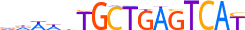 NF2L1.H12CORE.0.P.B motif logo (NFE2L1 gene, NF2L1_HUMAN protein)