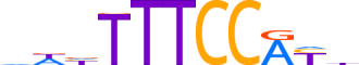 NFAC1.H12CORE.1.PS.A reverse-complement motif logo (NFATC1 gene, NFAC1_HUMAN protein)