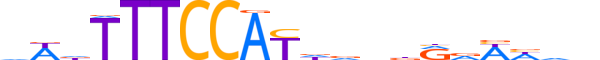 NFAC2.H12CORE.2.S.C reverse-complement motif logo (NFATC2 gene, NFAC2_HUMAN protein)