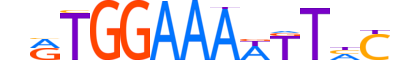 NFAT5.H12CORE.1.PS.A motif logo (NFAT5 gene, NFAT5_HUMAN protein)