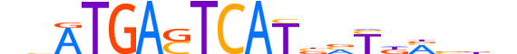 NFE2.H12CORE.1.SM.B motif logo (NFE2 gene, NFE2_HUMAN protein)