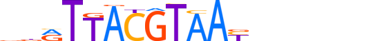 NFIL3.H12CORE.1.S.B motif logo (NFIL3 gene, NFIL3_HUMAN protein)