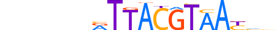 NFIL3.H12CORE.1.S.B reverse-complement motif logo (NFIL3 gene, NFIL3_HUMAN protein)