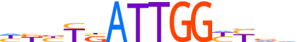 NFYB.H12CORE.0.P.B reverse-complement motif logo (NFYB gene, NFYB_HUMAN protein)