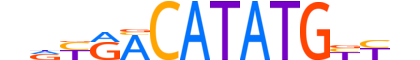 NGN1.H12CORE.0.SM.B motif logo (NEUROG1 gene, NGN1_HUMAN protein)