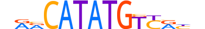 NGN1.H12CORE.0.SM.B reverse-complement motif logo (NEUROG1 gene, NGN1_HUMAN protein)