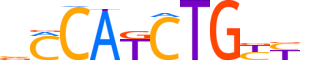 NGN2.H12CORE.0.P.B reverse-complement motif logo (NEUROG2 gene, NGN2_HUMAN protein)