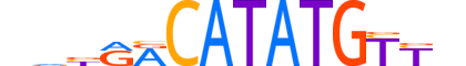 NGN2.H12CORE.1.SM.B reverse-complement motif logo (NEUROG2 gene, NGN2_HUMAN protein)