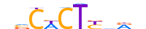 NKX22.H12CORE.0.P.B reverse-complement motif logo (NKX2-2 gene, NKX22_HUMAN protein)