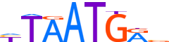 NKX61.H12CORE.1.P.B motif logo (NKX6-1 gene, NKX61_HUMAN protein)